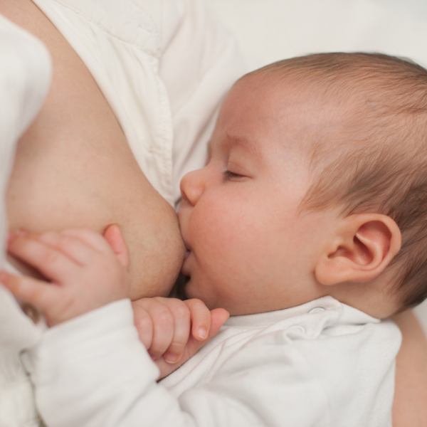 疏乳泌乳保養及親餵輔導